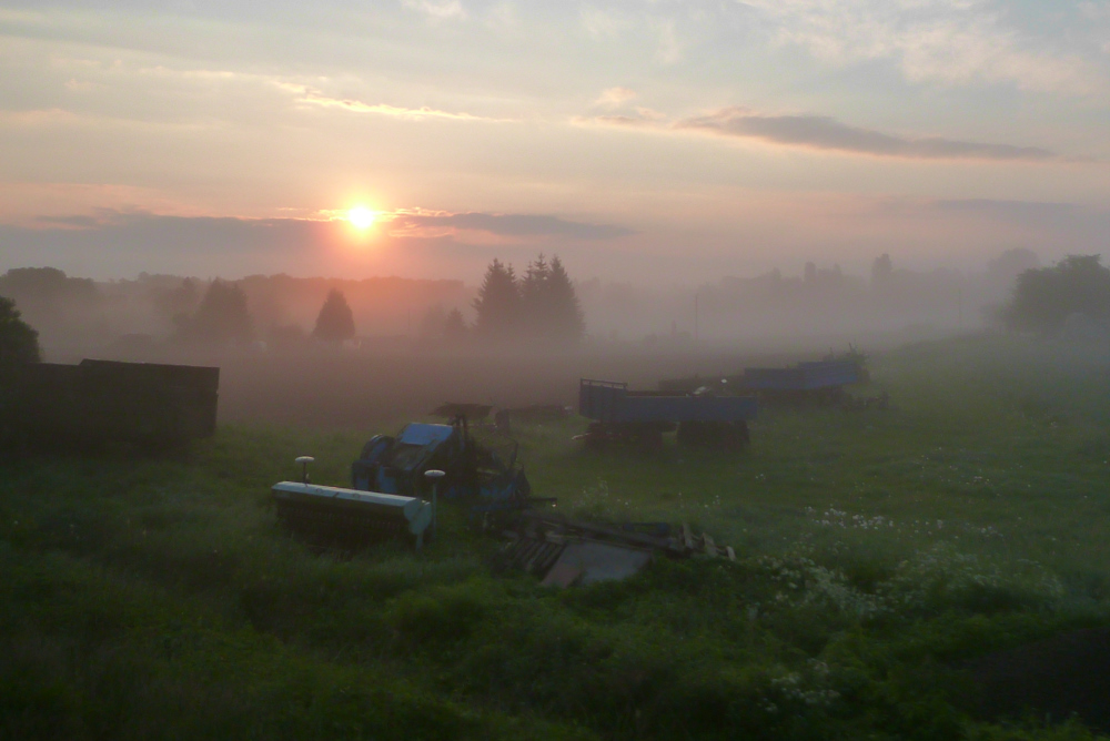P1100037-2.jpg