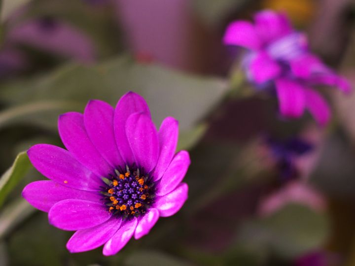 P1010987P1010987k.jpg