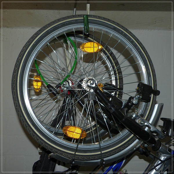 compP1160021x.jpg
