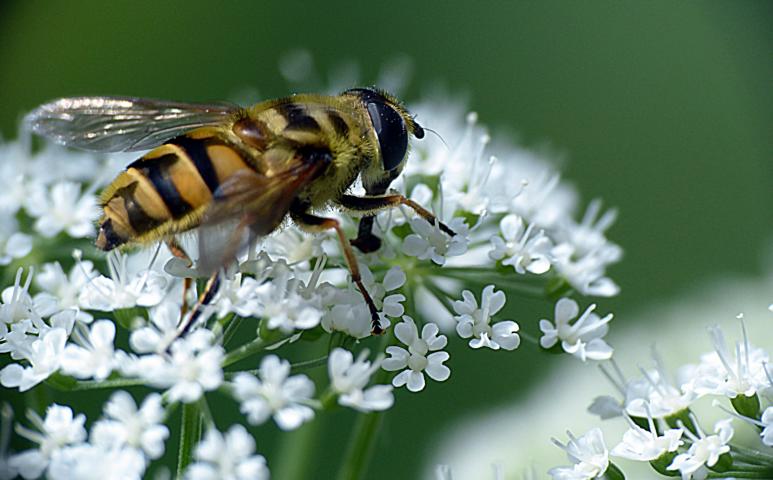 K640_P1170330.JPG