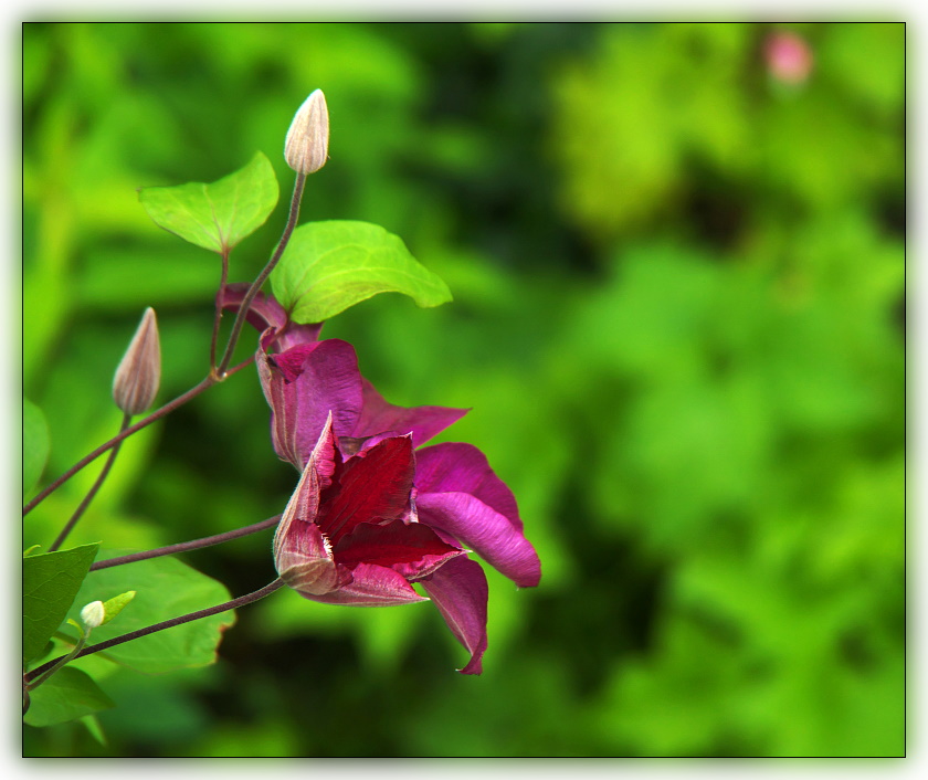 P1030201-rw2-ba.jpg