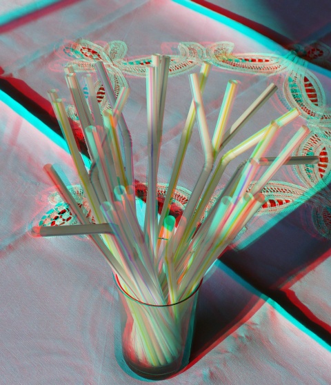 P1010715_AA.jpg