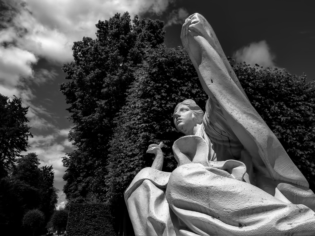 P1060523_sm_bw-1.jpg