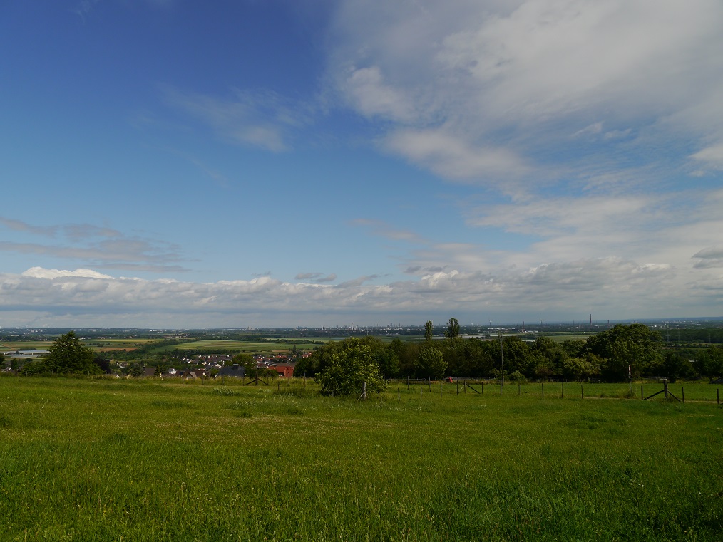 P1030045a.jpg
