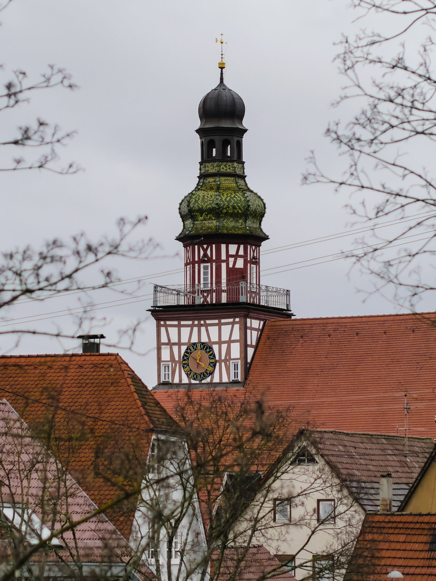 P1020792.jpg