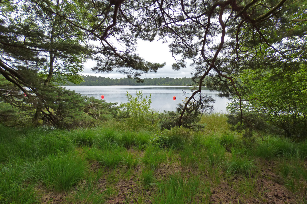 FZ72 Brennweite 20 mm.jpg