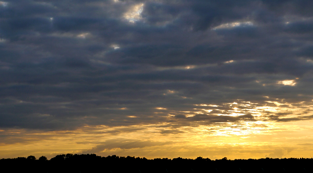 20130820-comp__1010782.jpg
