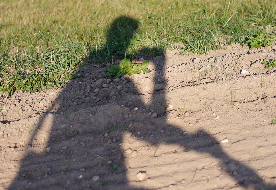 Radtour-Schatten.jpg