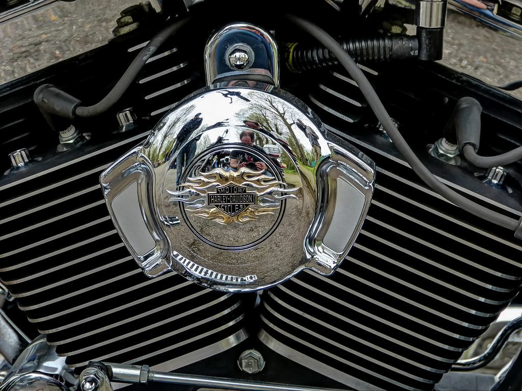 P1040954sm.jpg