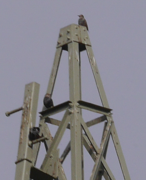 20131007 MV ohne Stabi.jpg