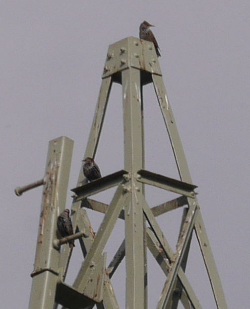 20131007 EV mit Stabi.jpg