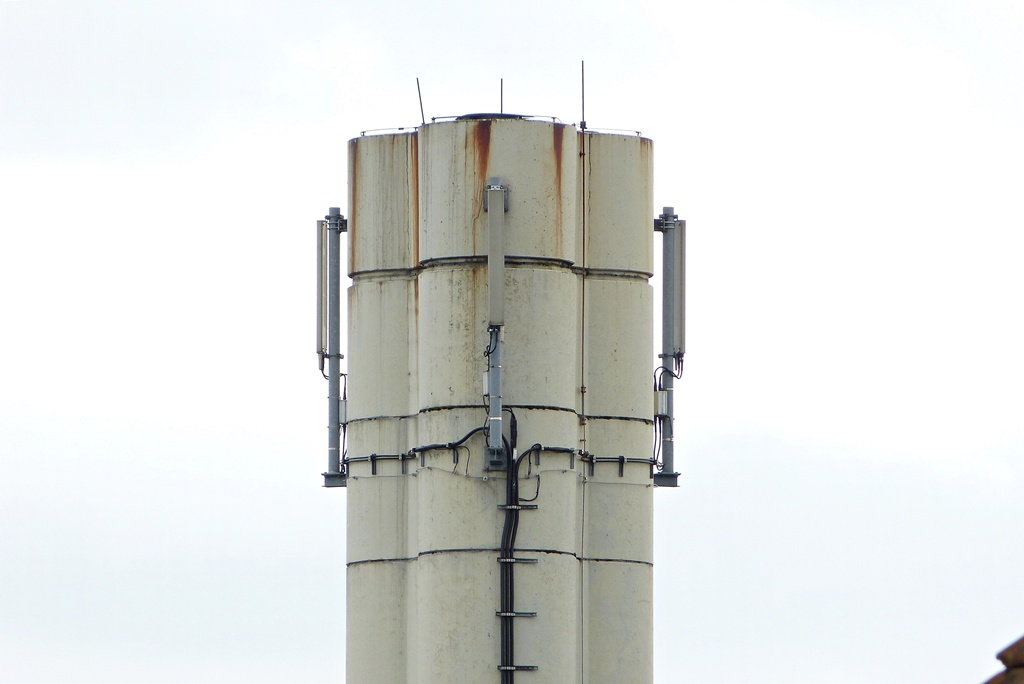 1_FZ150 24x.JPG
