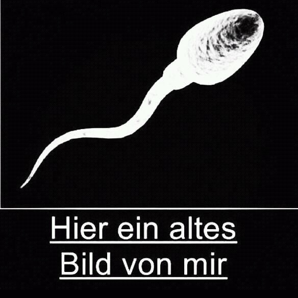 Ich-a29216475.jpg