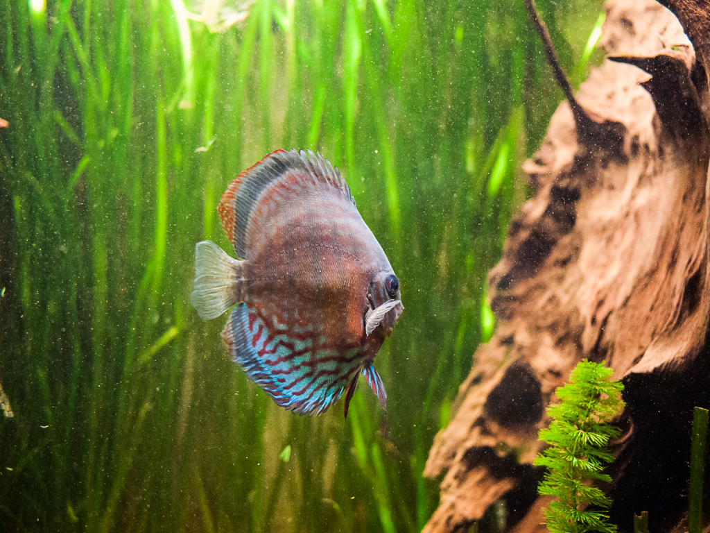 _1050578.jpg