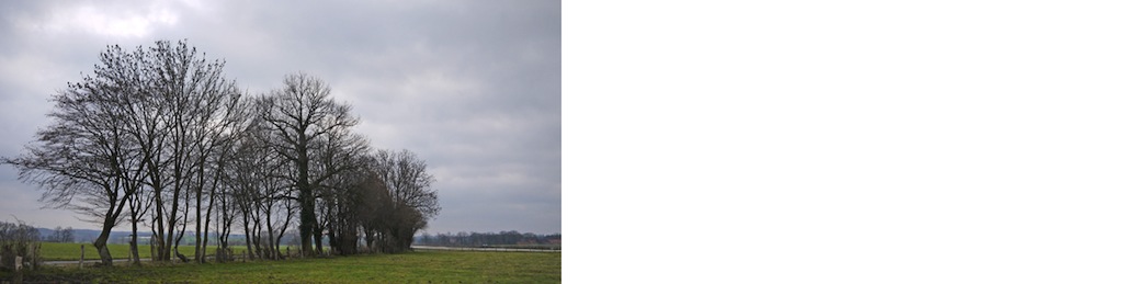 1-arbeitsflaeche.jpg