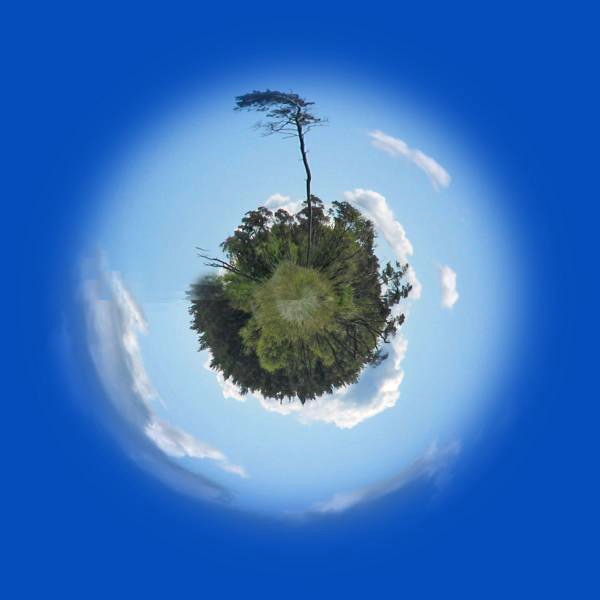 Windflüchter2.JPG