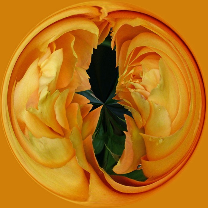 Rosenkugel 3_bearbeitet-1.jpg