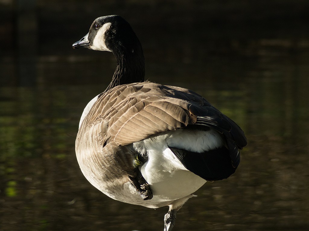 80-200mm.jpg
