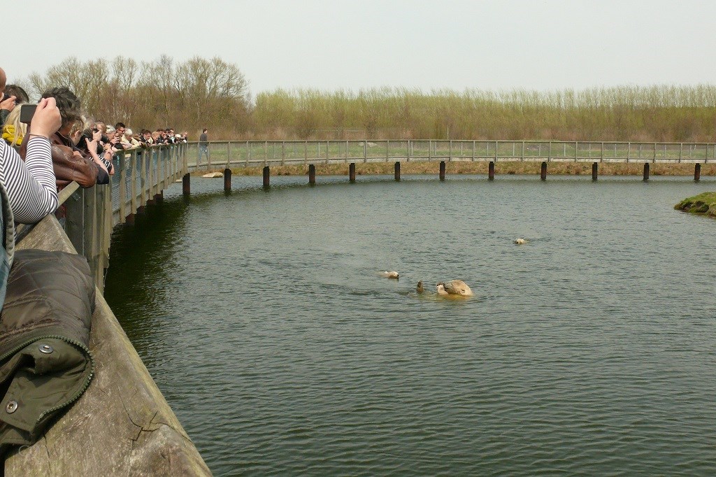 P2960999.JPG