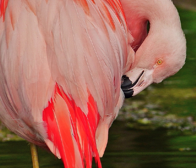 P1020121b_5_1_1_1.jpg