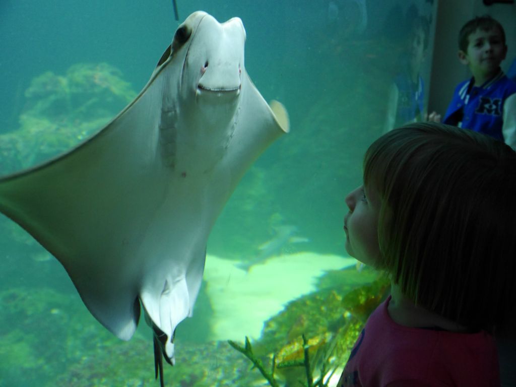 2013-12-22_152358-555.jpg