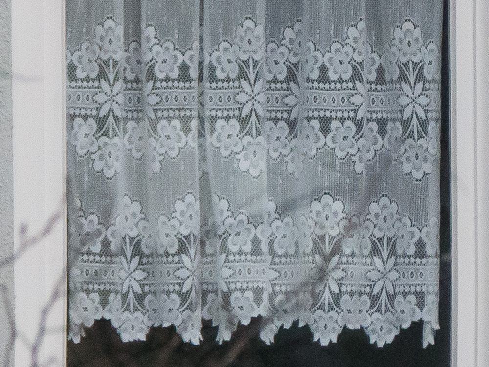 P1020290-2.jpg