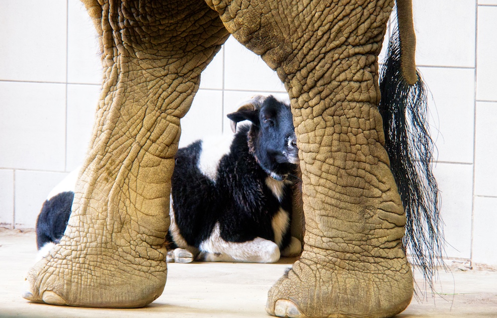 zoo_rostock Kopie.jpg