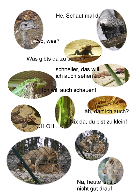 im_zoo_klein1.jpg