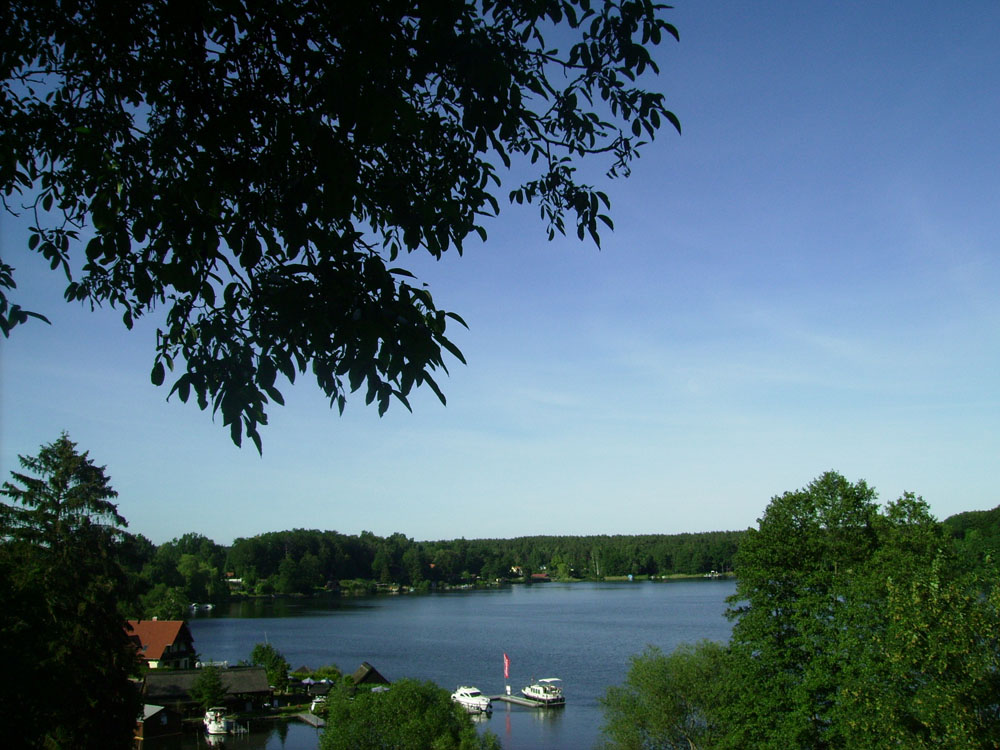 Flecken -Zechlin  Blick auf den schwarzen See 2011.JPG
