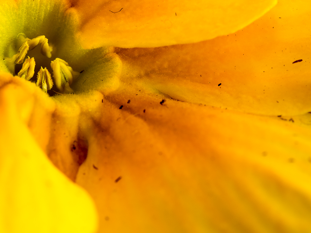 KC-00069-346-E-M1-1.jpg