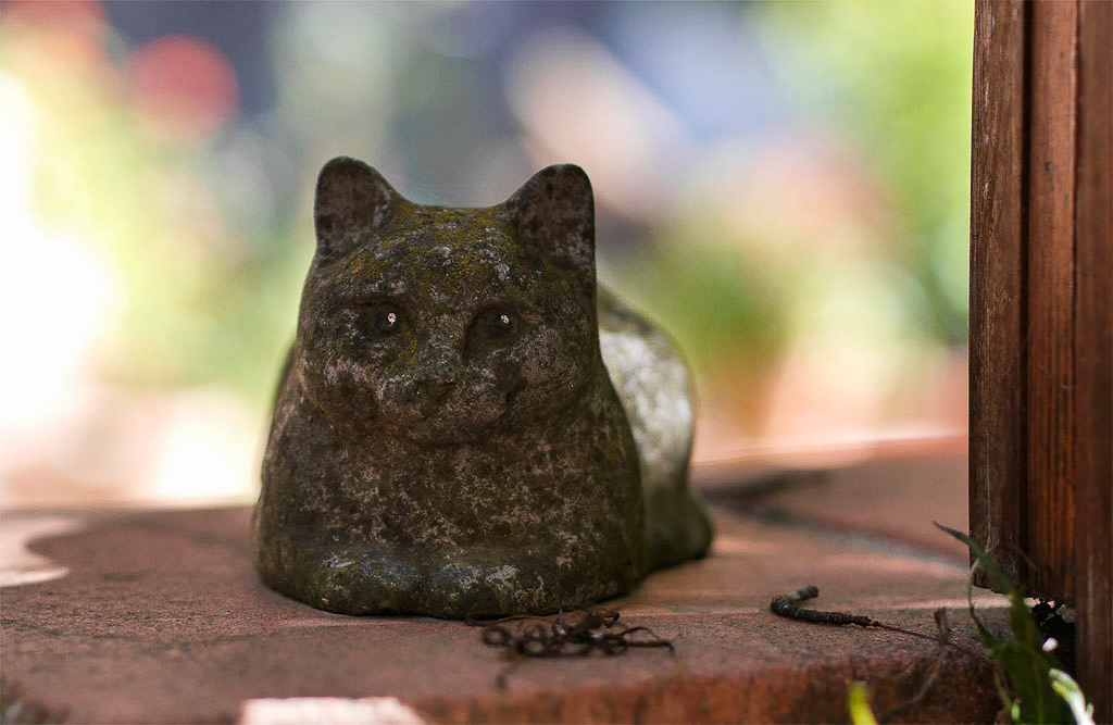 auf der mauer_k-2.jpg