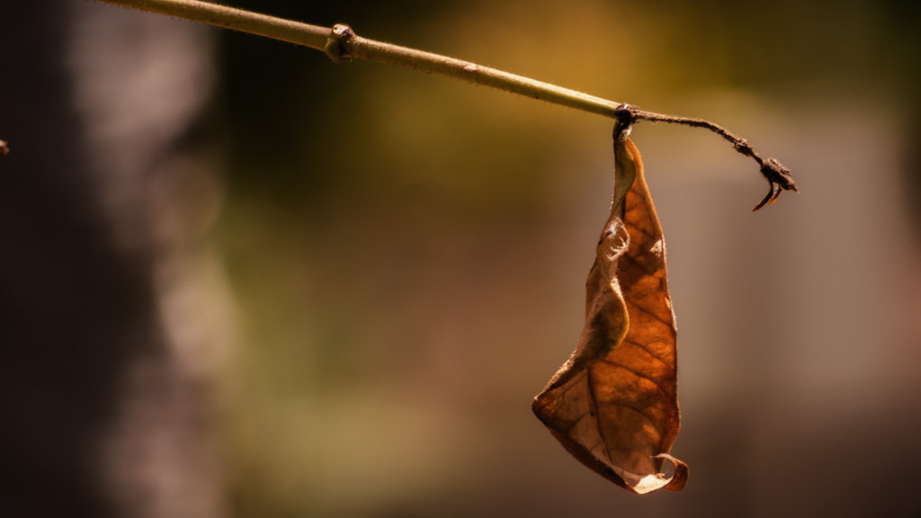 2014.03.20_unbenannt 00032-1.jpg