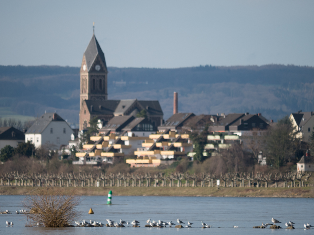 12. Februar 2014_1110810.jpg