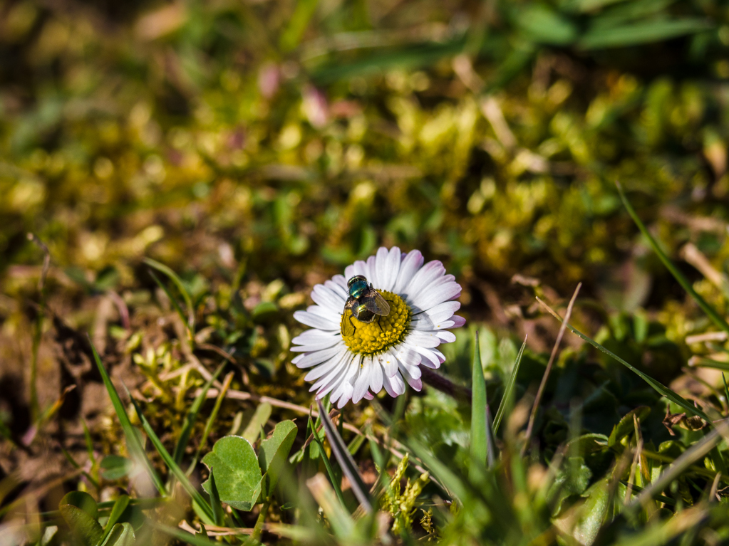 17. Februar 2014_1080466.jpg