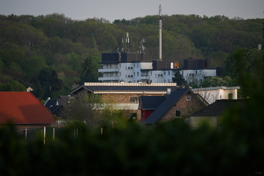 P1020207.jpg