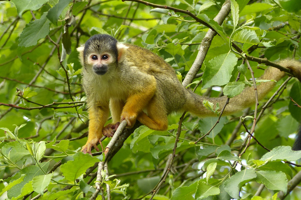 KL-Nürnberger-Zoo-014.jpg
