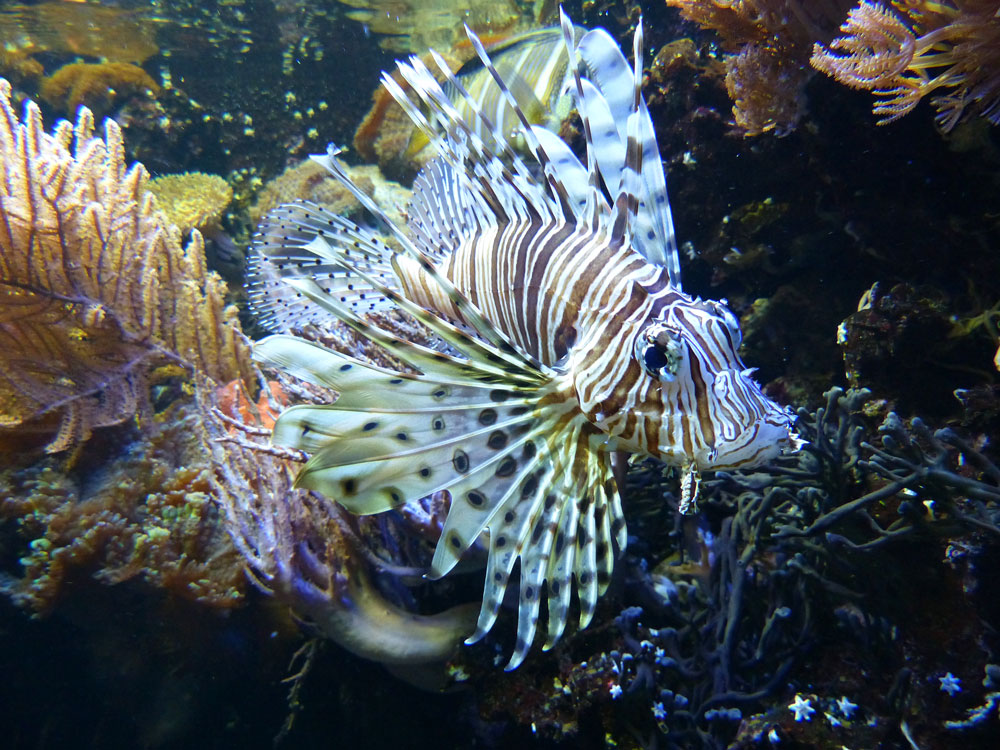 KL-Nürnberger-Zoo-113.jpg