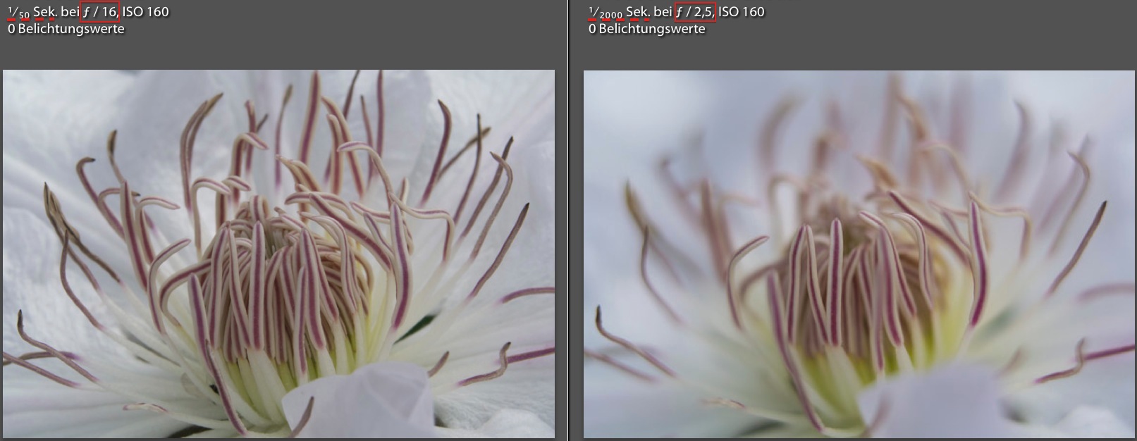 Bildschirmfoto 2014-05-20 um 20.06.46.jpg