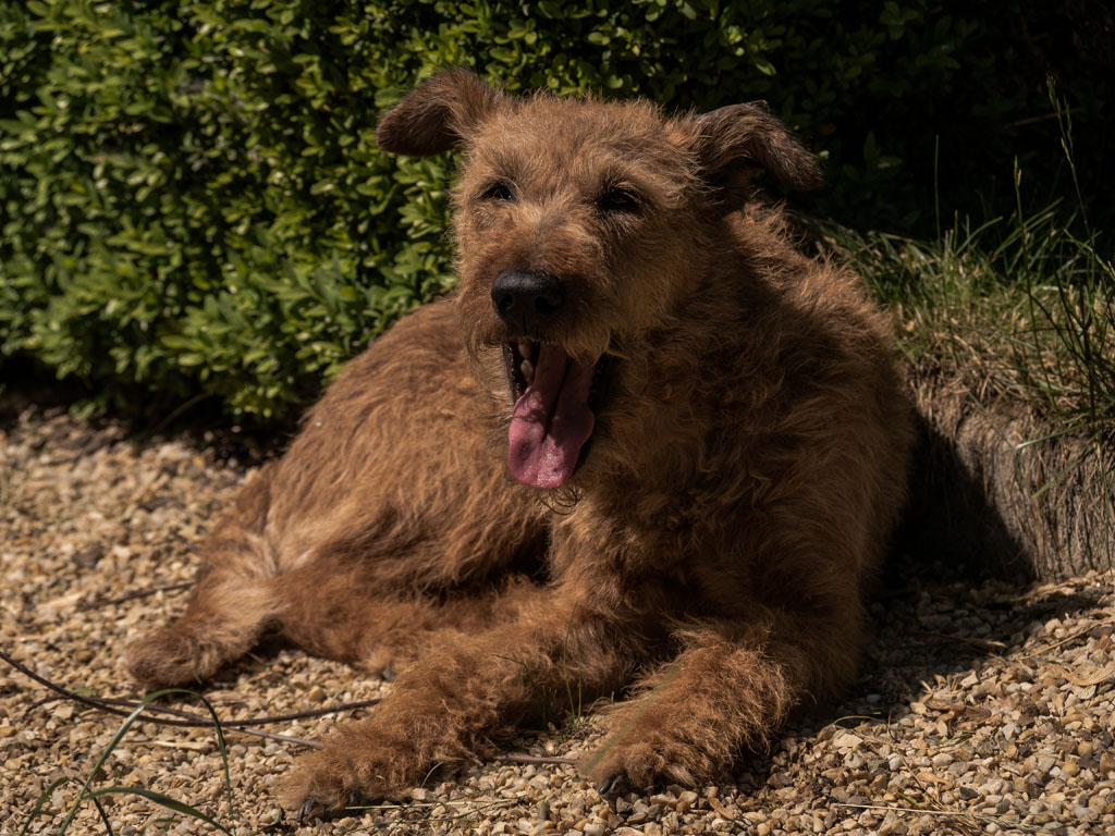 schon so heiß_k.jpg