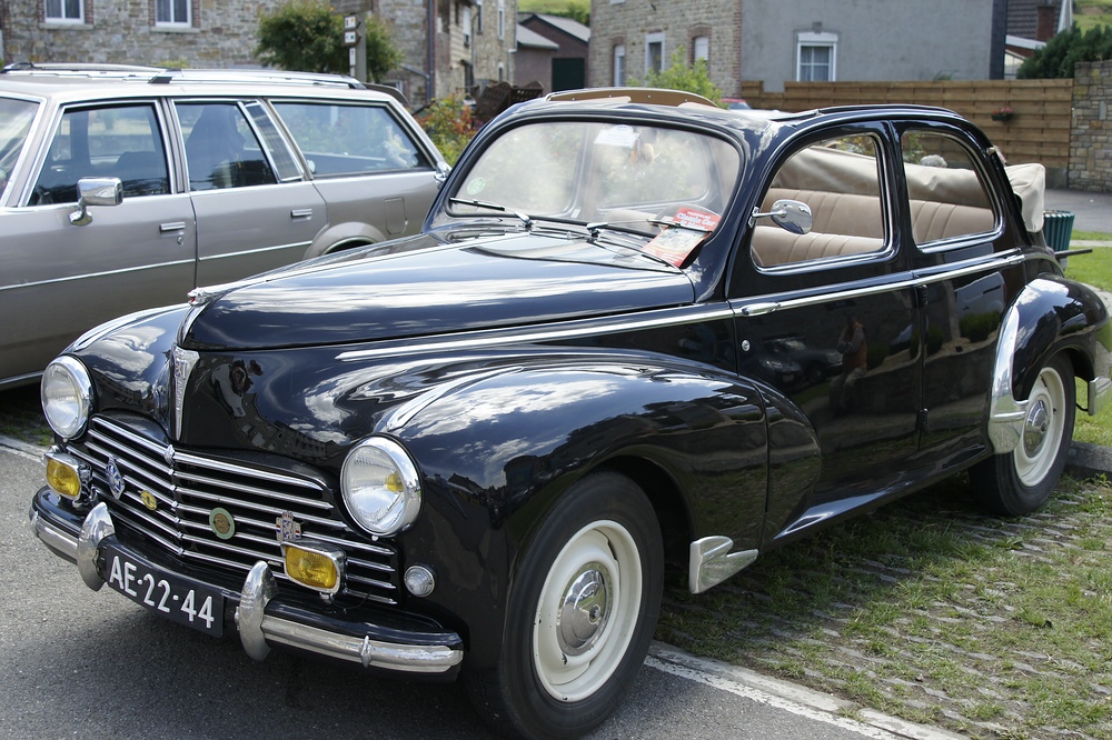 comp__DSC2303.jpg