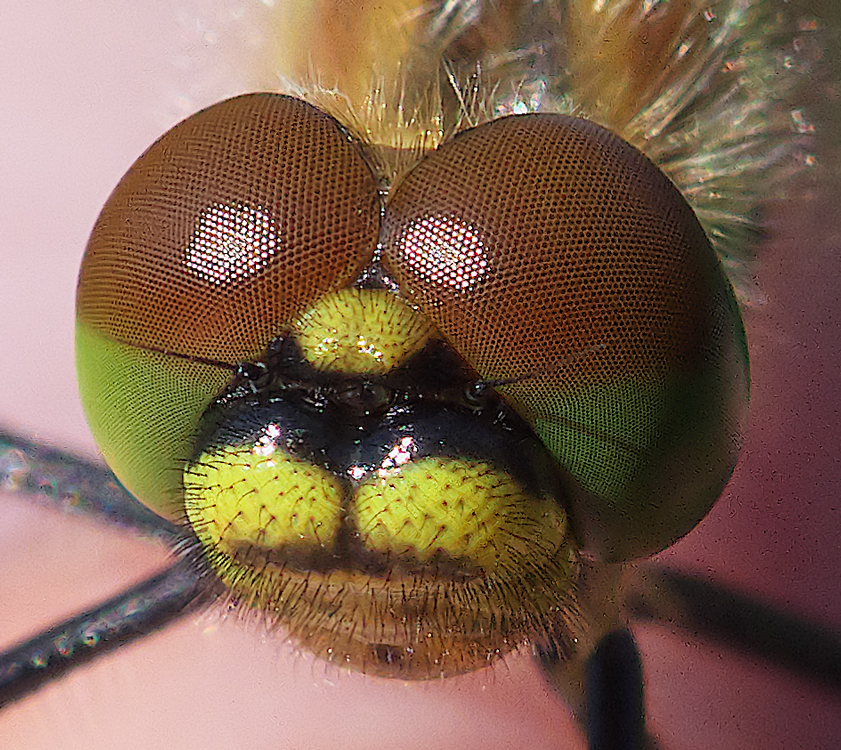 P1190767_z22.jpg