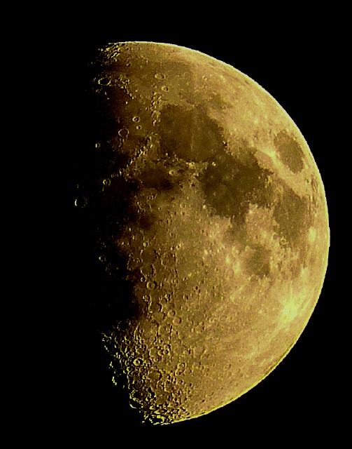 15.08.2013 FZ200_4_1.jpg