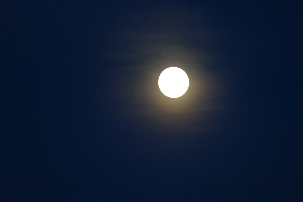 Mond_100814.jpg
