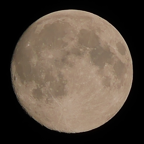 P1060822.jpg