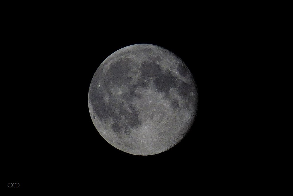 P1550998.JPG