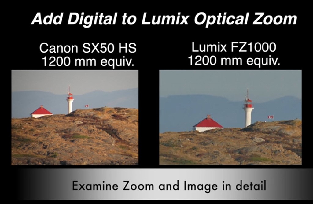 zoom1.jpg