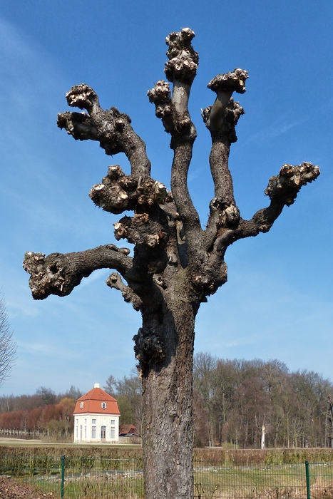 P1010110a.jpg