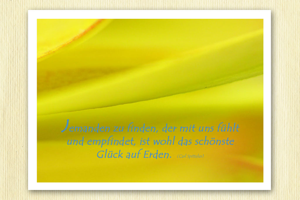 Silke zum Geburtstag.jpg