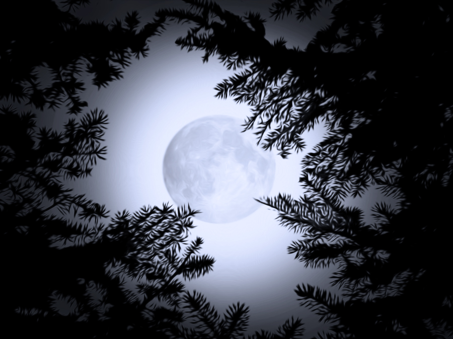 vollmond.jpg
