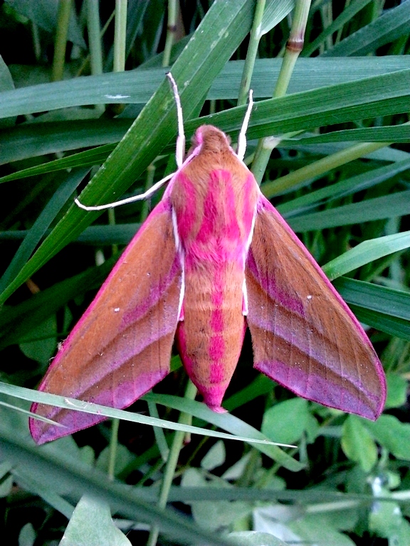 2013-07-01 15.43.28.jpg